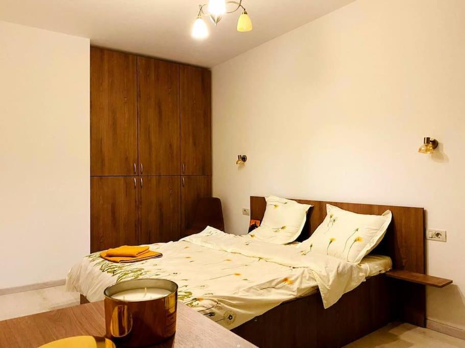 Luxury Apartment Arad Dış mekan fotoğraf